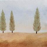Cypress Trio