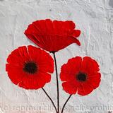 Three Red Poppies