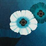 Oriental Poppies in Blue