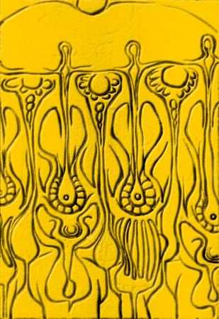 study for a new biology II