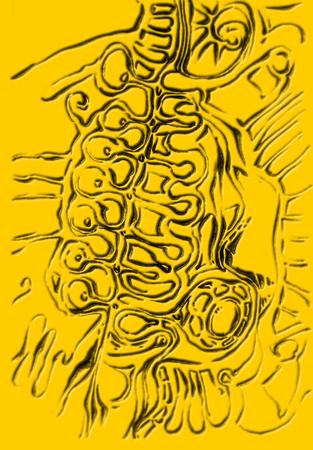 study for a new biology VII