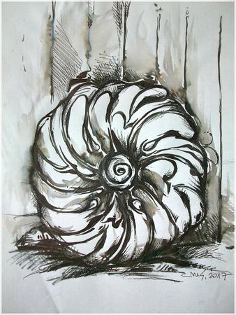 a study for a wheel flower