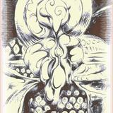 figure and silhouette