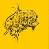 study for a new biology IV