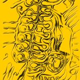 study for a new biology VII