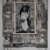 In a Forest of Doubts