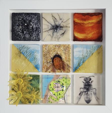 Rough Backed Blood Bee