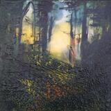 Winter Sun Thorncombe Woods