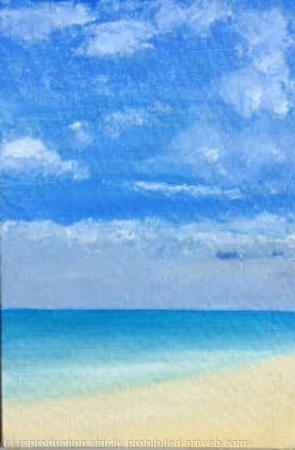 Heron Island  Australia