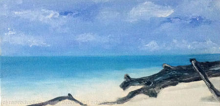 Heron Island paradise