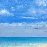 Heron Island  Australia