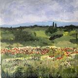 Summer field in Italy 