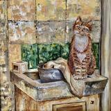 The cat and the fountain 