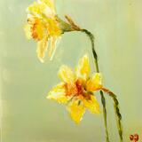 Daffodils 