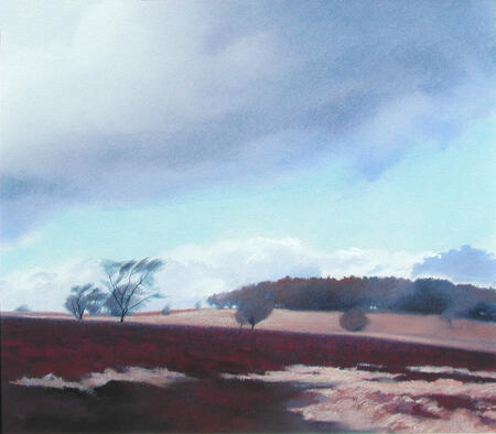 245 Eastern Moors 1 - Winter