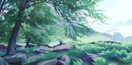 102 Beech Wood - Stanage Edge