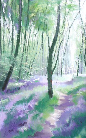 457 Woodland - Spring 1 Gillfield Woods, Totley