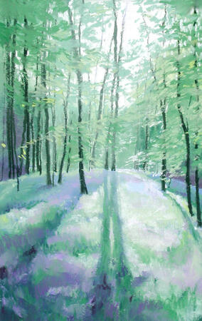 458 Woodland - Spring 2 Gillfield Woods, Totley