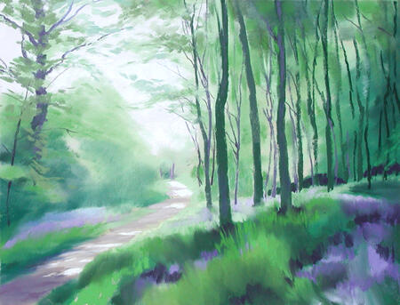 459 Woodland - Spring 3 - Gillfield Woods, Totley