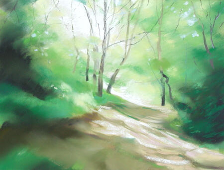 464 Woodland - Spring 5 Gillfield Woods, Totley