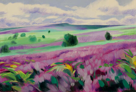 563 Houndkirk Summer