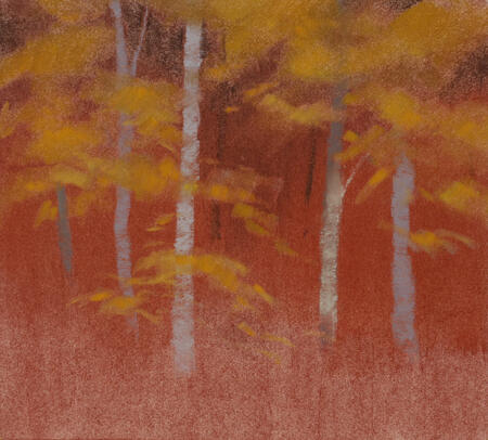 750 Edge of the Woods #6