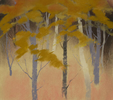 751 Edge of the Woods 7