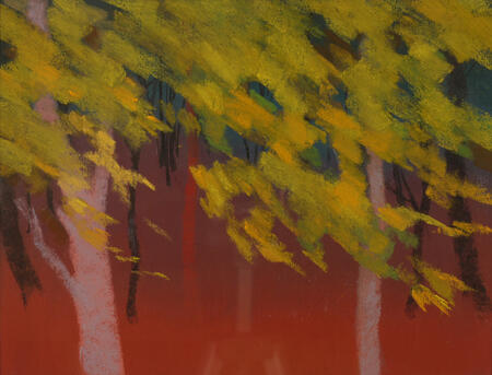 752 Edge of the Woods 8