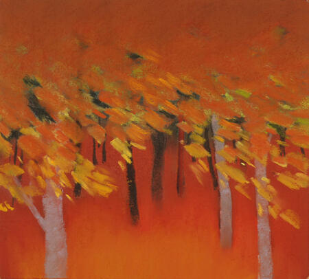 753 Edge of the Woods 9