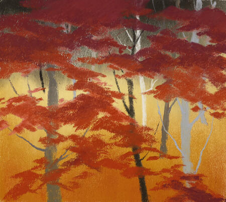 754 Edge of the Woods 10