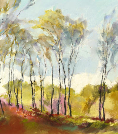 1303 Birches, Stanton Moor