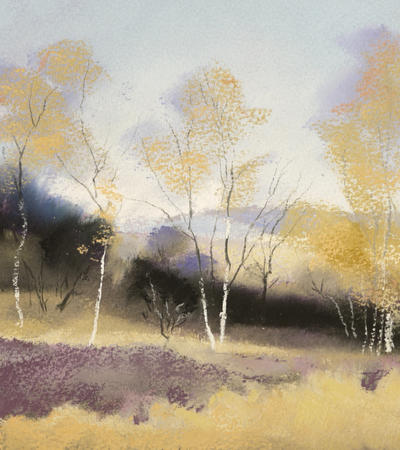 1308 Autumn, Birchen Edge