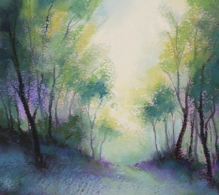 1329 Wildwood 7, Morning