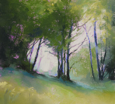 1451 Holmesfield Wood