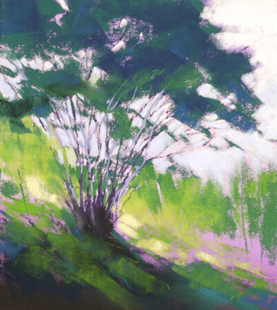 1522 Summer Light, Blackamoor