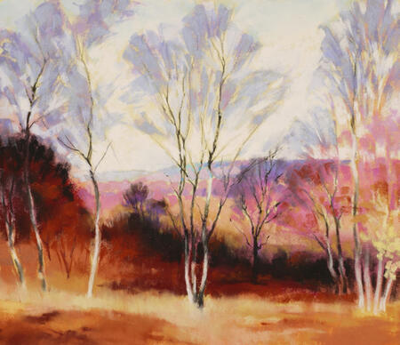 1555 Winter, Birchen Edge