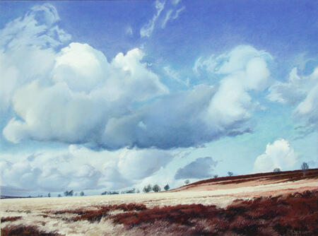 086 Rowsley Moor - Midday Feb