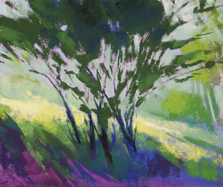 1524 Early Morning Light