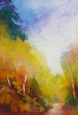 1478 Pathway into Gillfield Woods