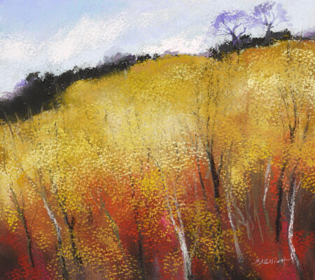 1330 Autumn Birches, Storth