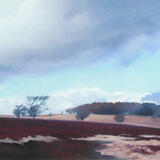 245 Eastern Moors 1 - Winter