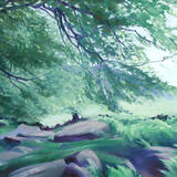 102 Beech Wood - Stanage Edge