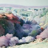 150 Abney Clough - Autumn