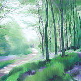 459 Woodland - Spring 3 - Gillfield Woods, Totley