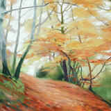 509 Woodland - Autumn 1 Gillfield Woods, Totley