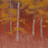 750 Edge of the Woods #6