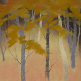 751 Edge of the Woods 7