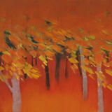 753 Edge of the Woods 9