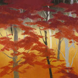 754 Edge of the Woods 10