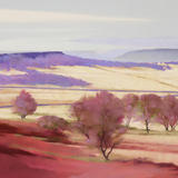 1270 Birchen Edge, Eastern Moors